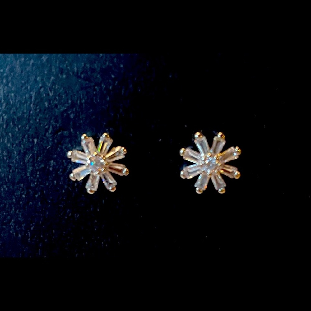DAISES CZ